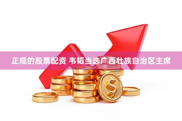 正规的股票配资 韦韬当选广西壮族自治区主席